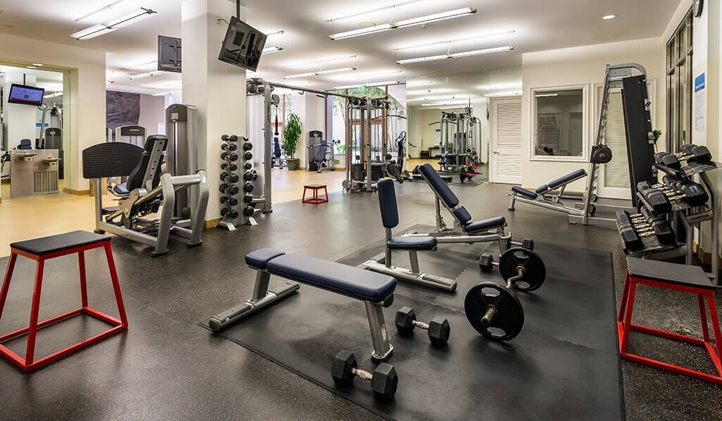 Fitness center - shows free weights