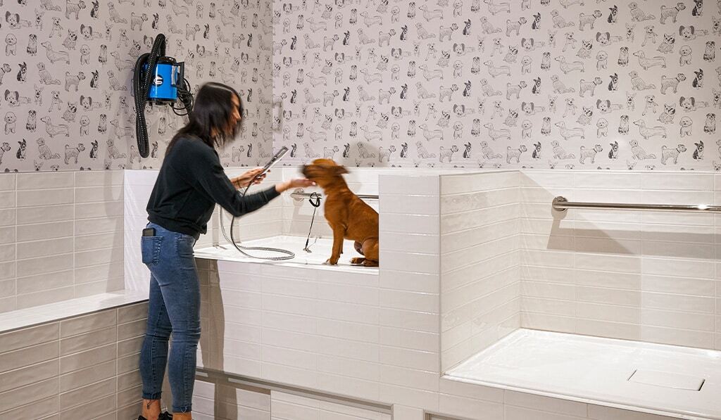 pet spa