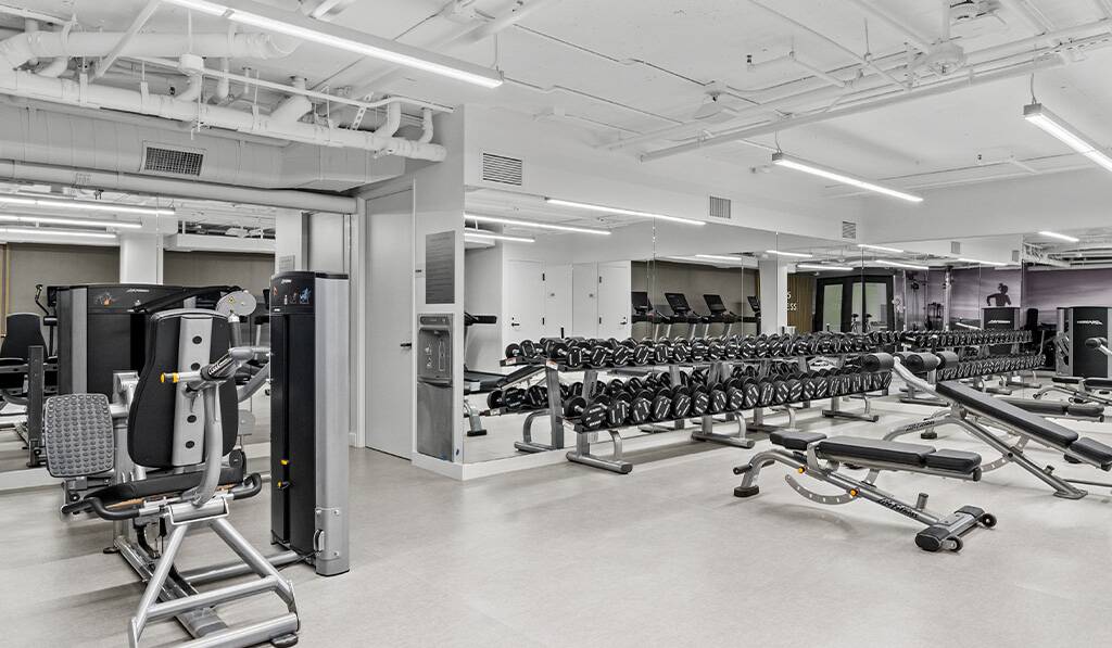 555 Barrington apartment fitness center with free weights