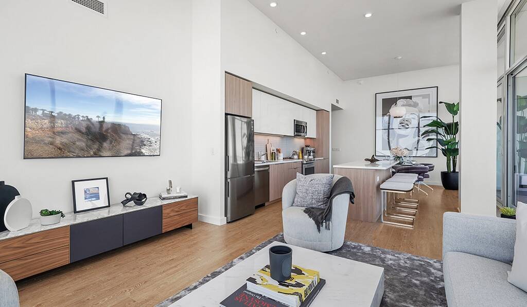 Furnished penthouse living room