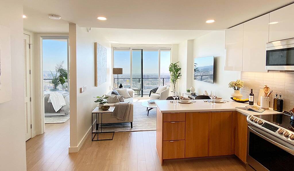 Furnished kitchen and living room