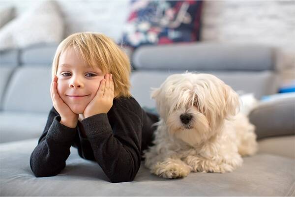 Cute kid and dog