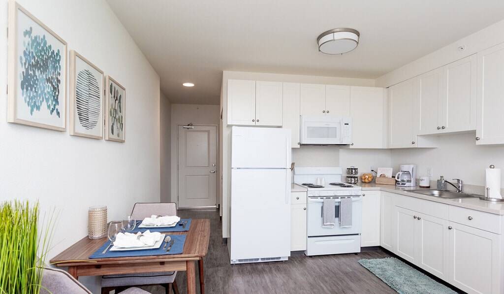 Studio apartment kitchen and dining area