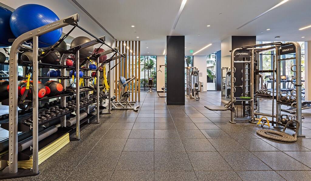 Free Weights and fitness equipment in the gym