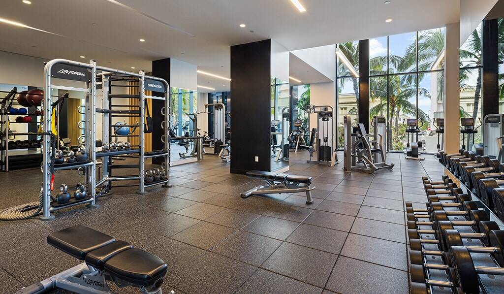 Free Weights and fitness equipment in the gym