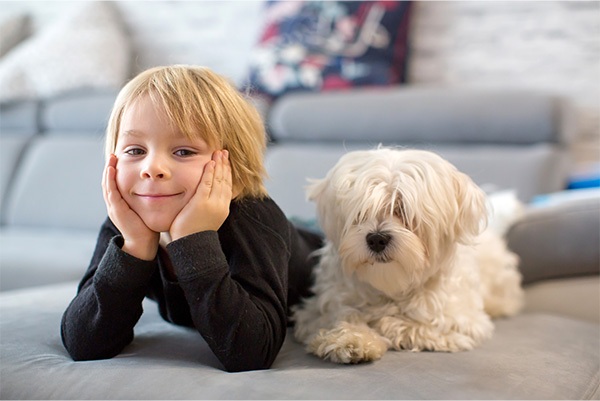 Cute kid and dog Cute kid and dog