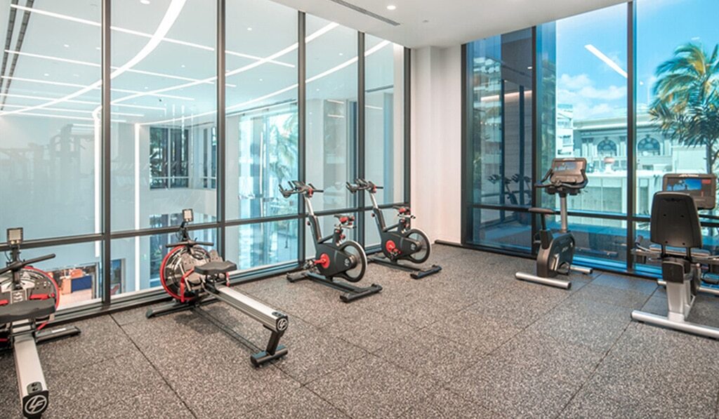 rowing machines and exercise equipment