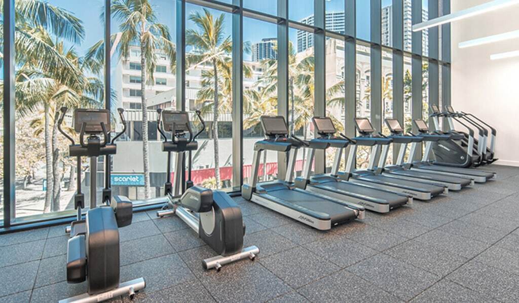 Row of treadmills and elipticals