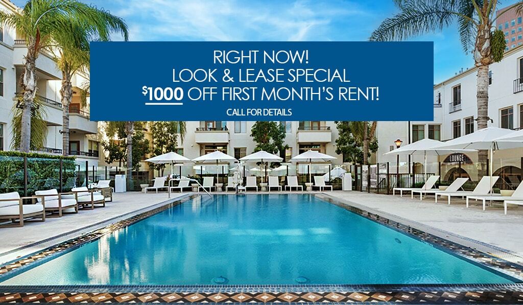 Look and Lease Special $1000 Off First Month's Rent